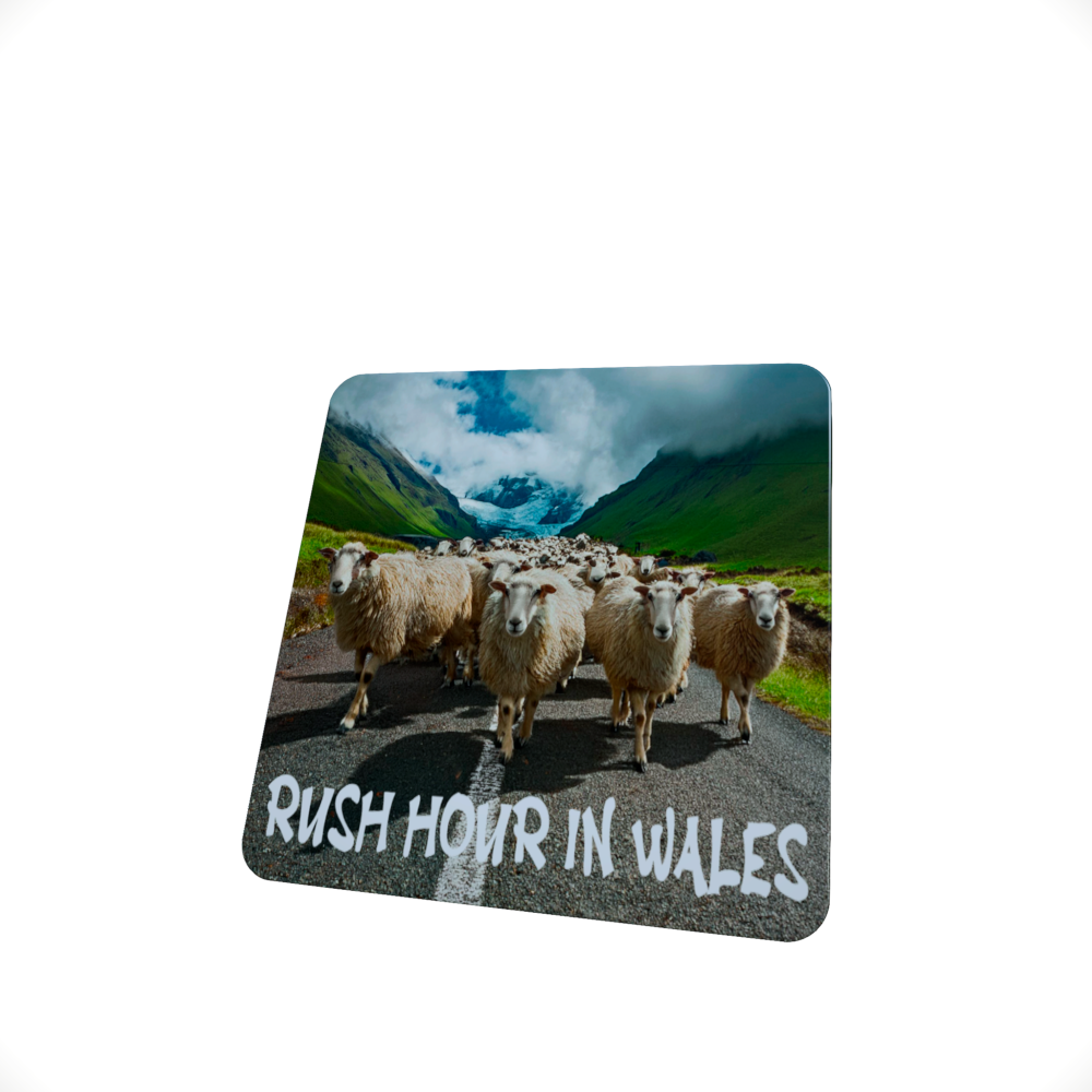 Rush Hour in Wales.. Funny sheep hardboard coaster